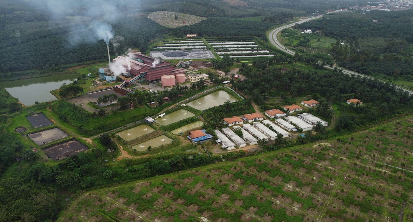 palm-oil